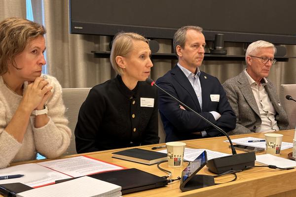 NHF til finanskomiteen: - Differansekontrakter må på plass